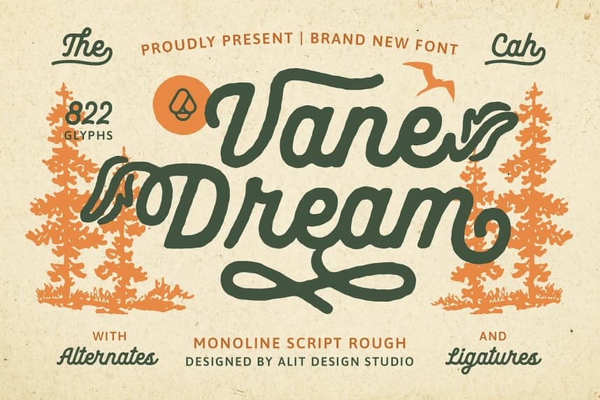 Vane Dream Font – Script creative asset