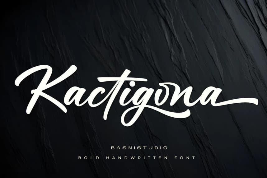 Kactigona – Bold Handwritten Font – Display creative asset