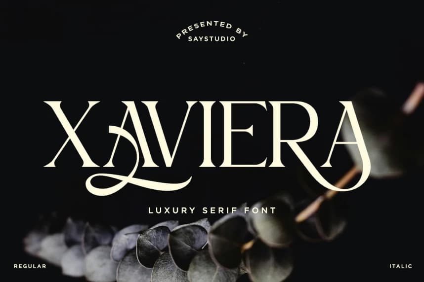 Xaviera DEMO Font – Display creative asset