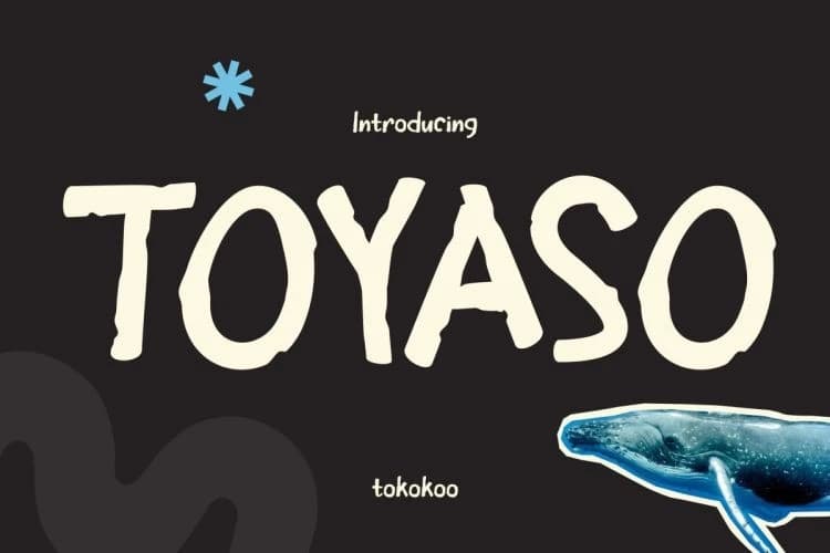 Toyaso Playful Font – Display creative asset