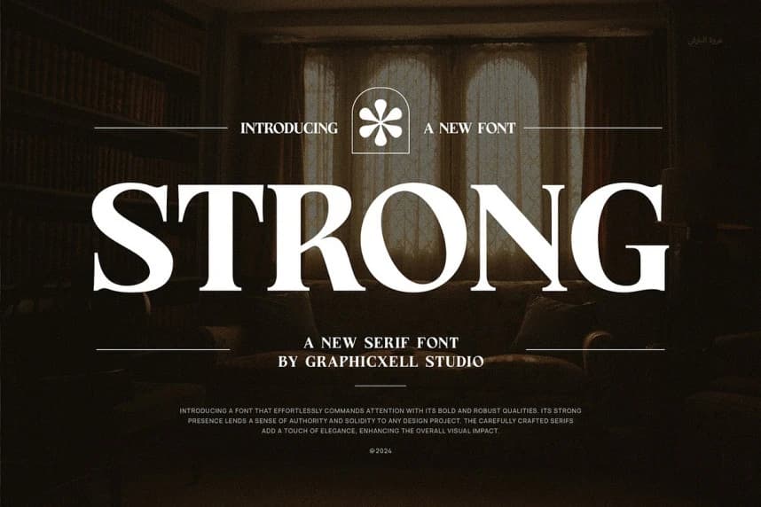 Strong Font – Serif creative asset