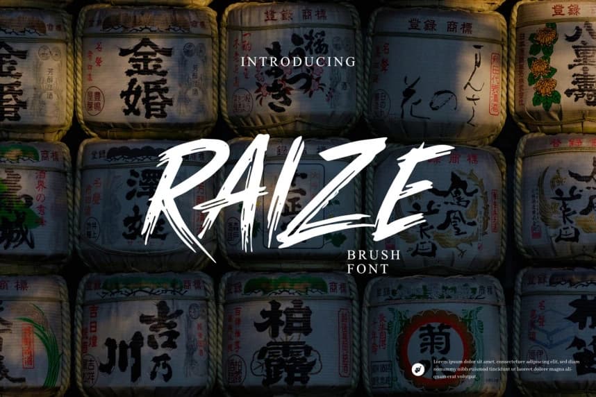 Raize Brush Font – Display creative asset