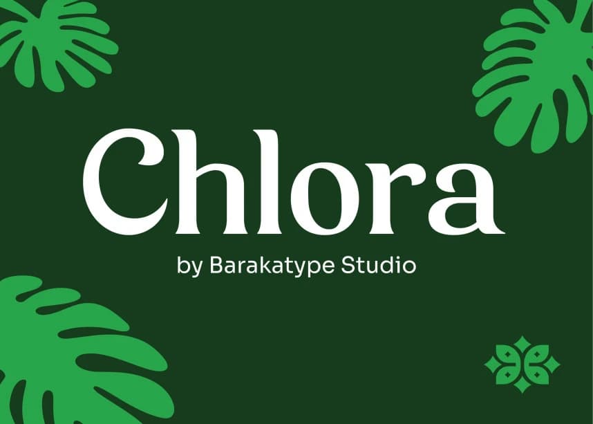 Chlora Font – Serif creative asset
