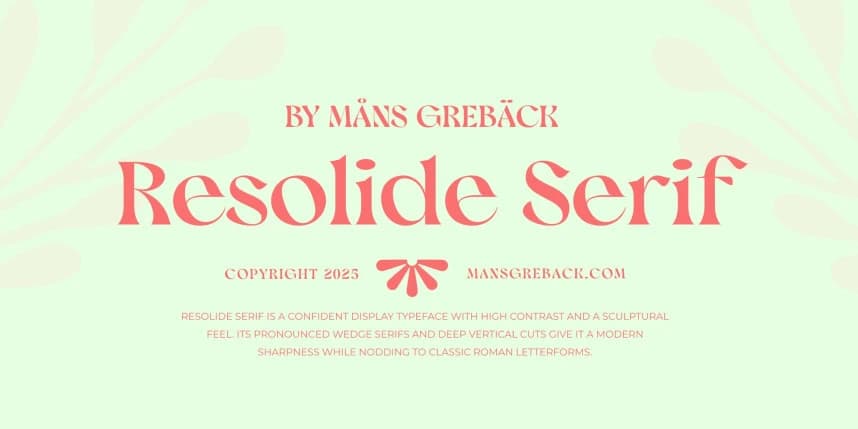 Resolide Serif Font – Display creative asset