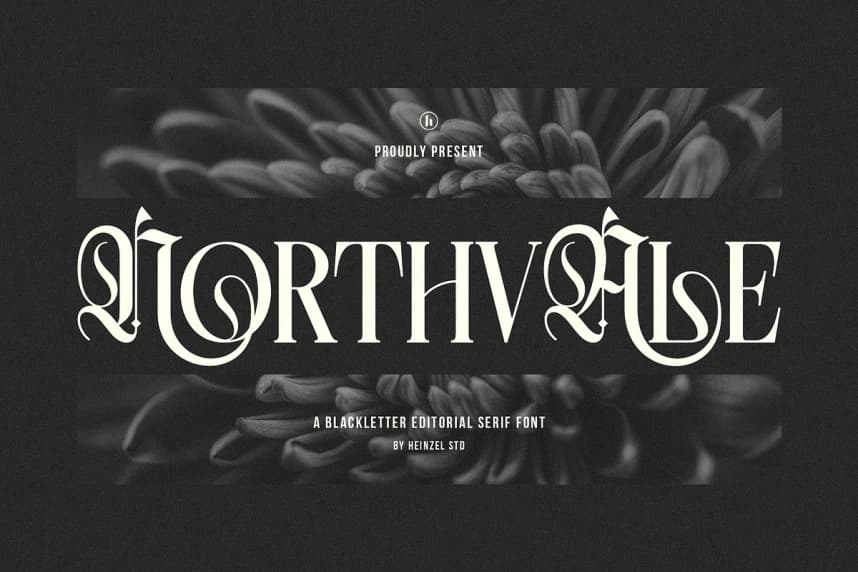 Northvale Font – Display creative asset