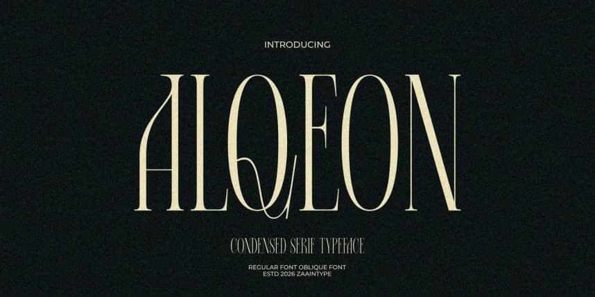 Alqeon Font – Serif creative asset