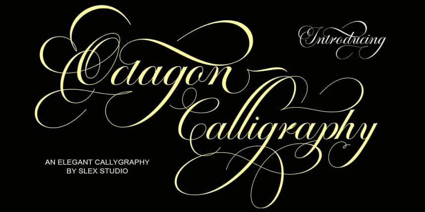 Octagon Calligraphy Font – Script creative asset