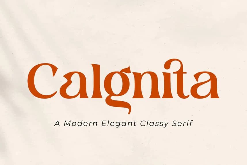 Calgnita Font – Serif creative asset