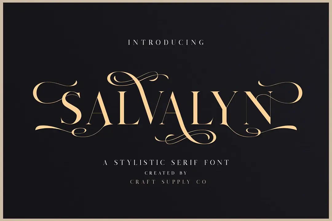 Salvalyn Stylistic Serif Font – Serif creative asset