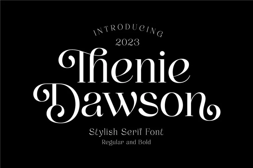Thenie Dawson Font – Serif creative asset