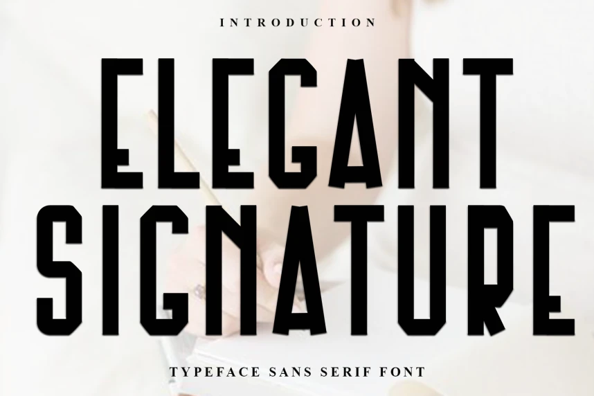 Elegant Signature Display Font – Display creative asset