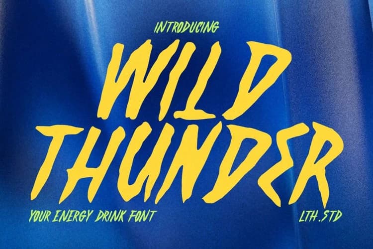 Wild Thunder Font – Serif creative asset