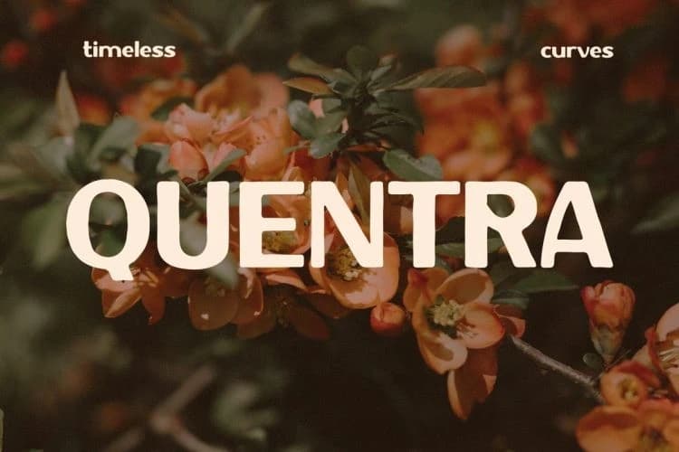 Quentra Font – Display creative asset