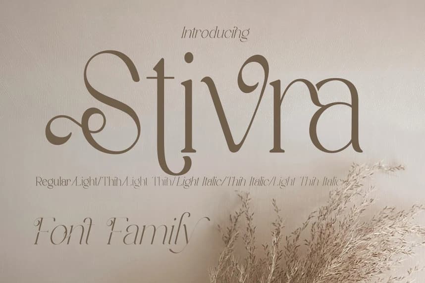 Stivra Font – Serif creative asset