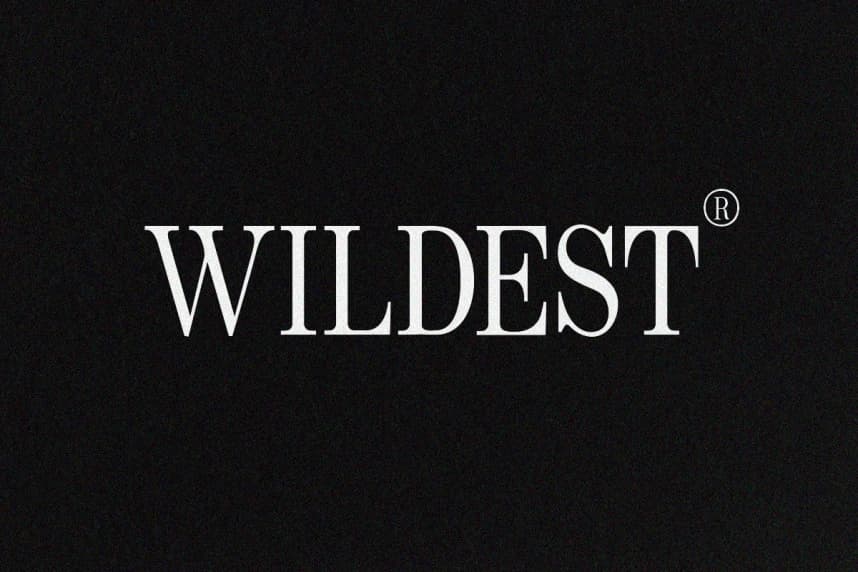 Wildest Serif Font – Serif creative asset