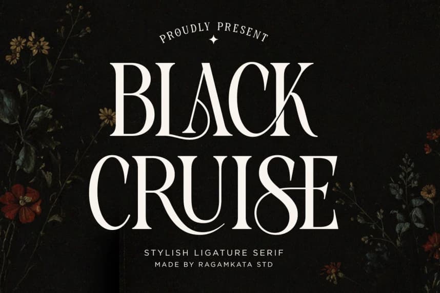 Black Cruise Font – Display creative asset