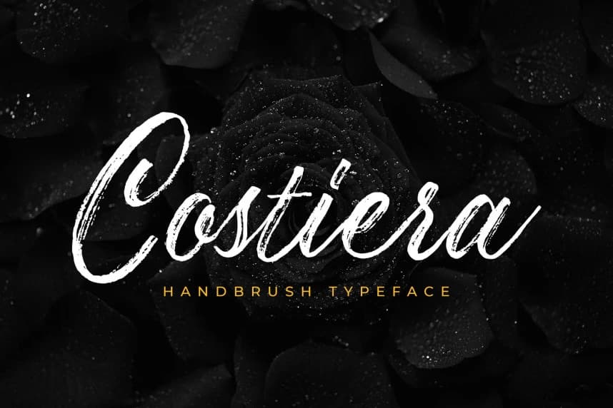 Costiera Brush Font – Script creative asset