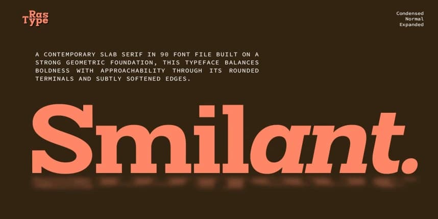 Smilant Font Family – Serif creative asset