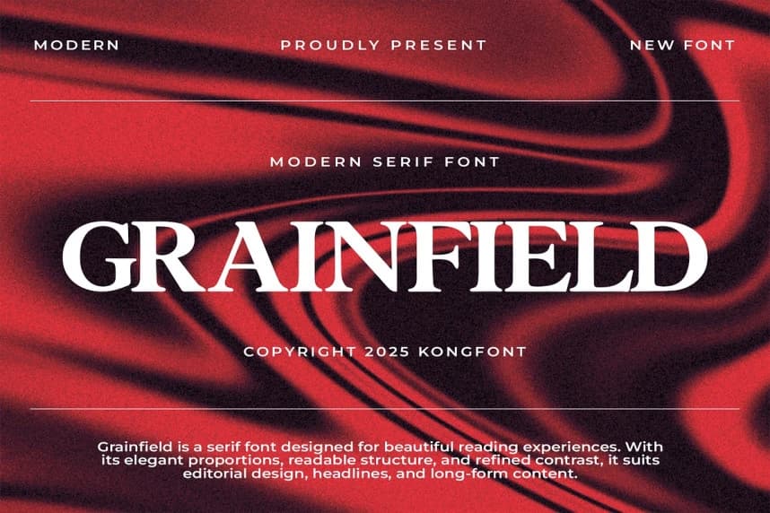 Grainfield Font – Serif creative asset