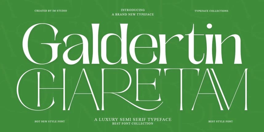 Galdertine Charetam Semi Serif Font – Display creative asset