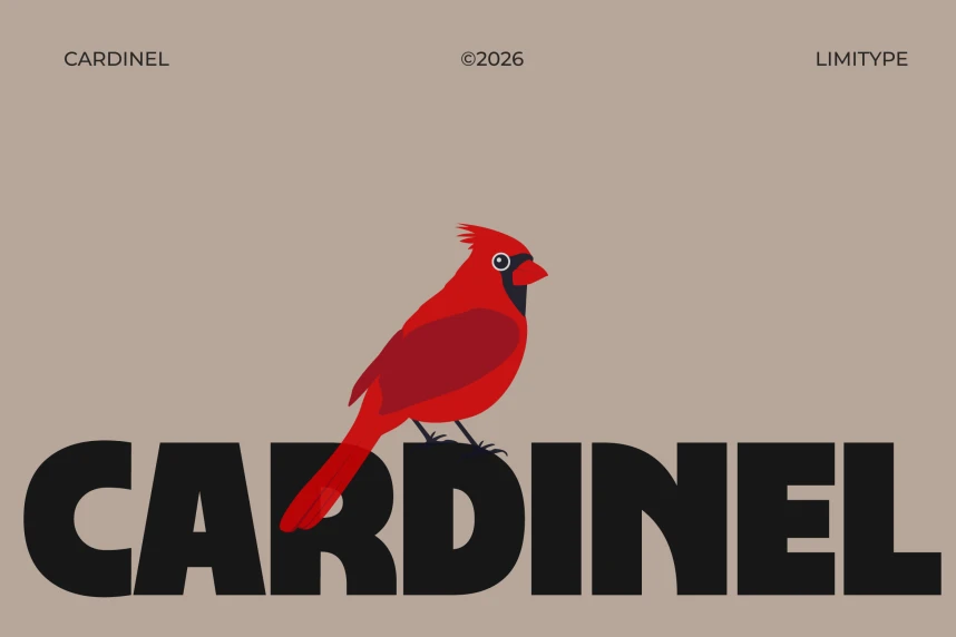 Cardinel – Bold Font – Display creative asset