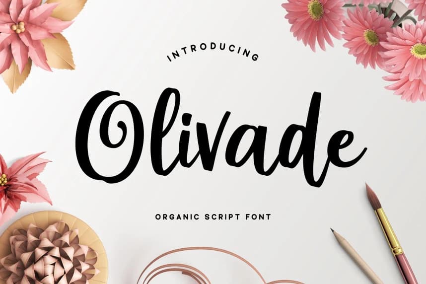 Olivade Script Font – Handwritten creative asset